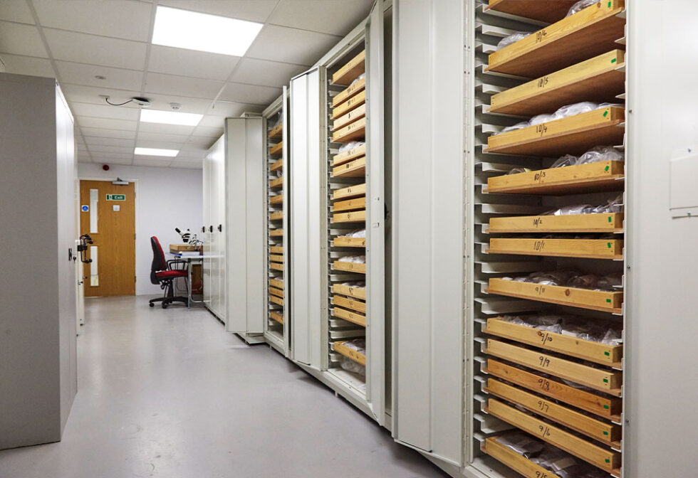 Museum Storage Solutions | Museum Racking Systems | Rackline