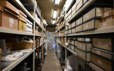 Museum collection storage – Trust the experts