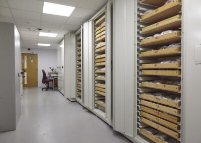 Colchester and Ipswich Museum Collection Storage
