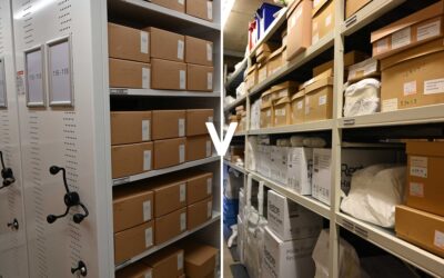 Roller Racking vs Standard Static Shelving: Which Is Best for Your Business?
