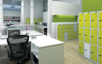 The Top Ten Reasons You Should Be Implementing Office Lockers