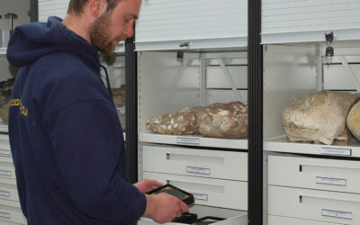 How Tailored Storage Gives You More