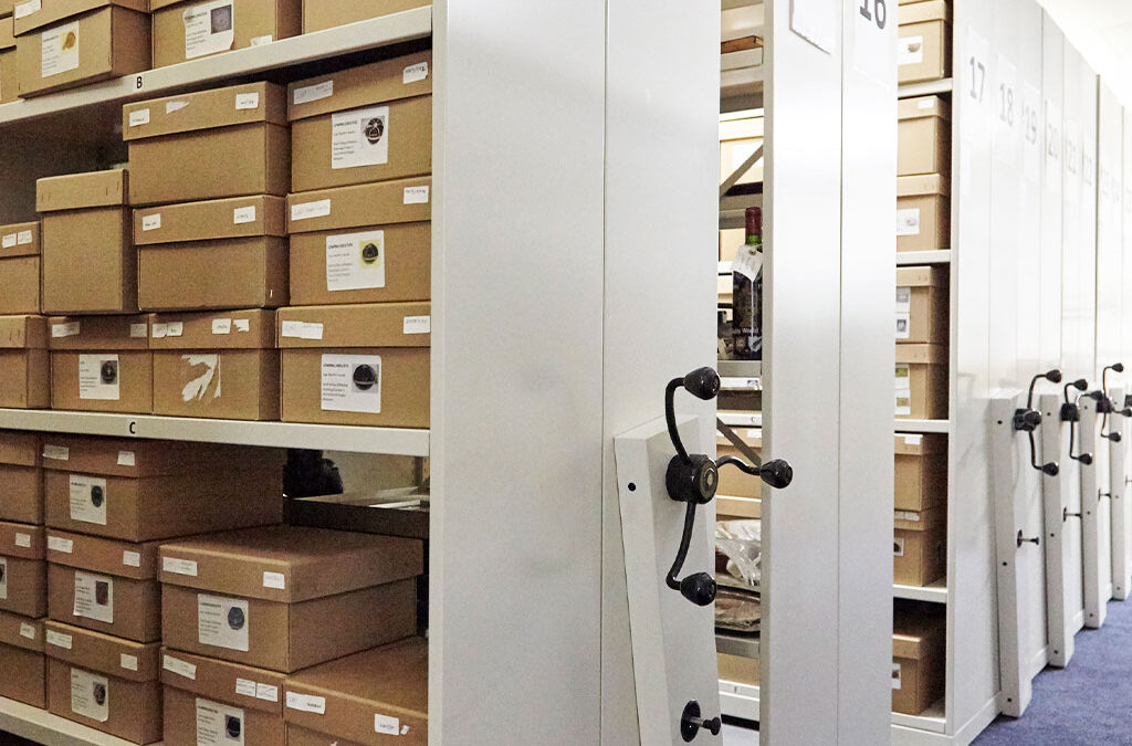 Museum Collection Storage – Unlock Exhibition Space