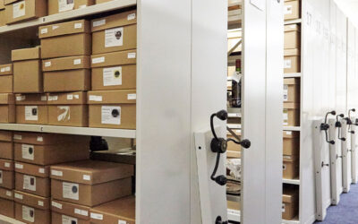 Museum Collection Storage – Unlock Exhibition Space