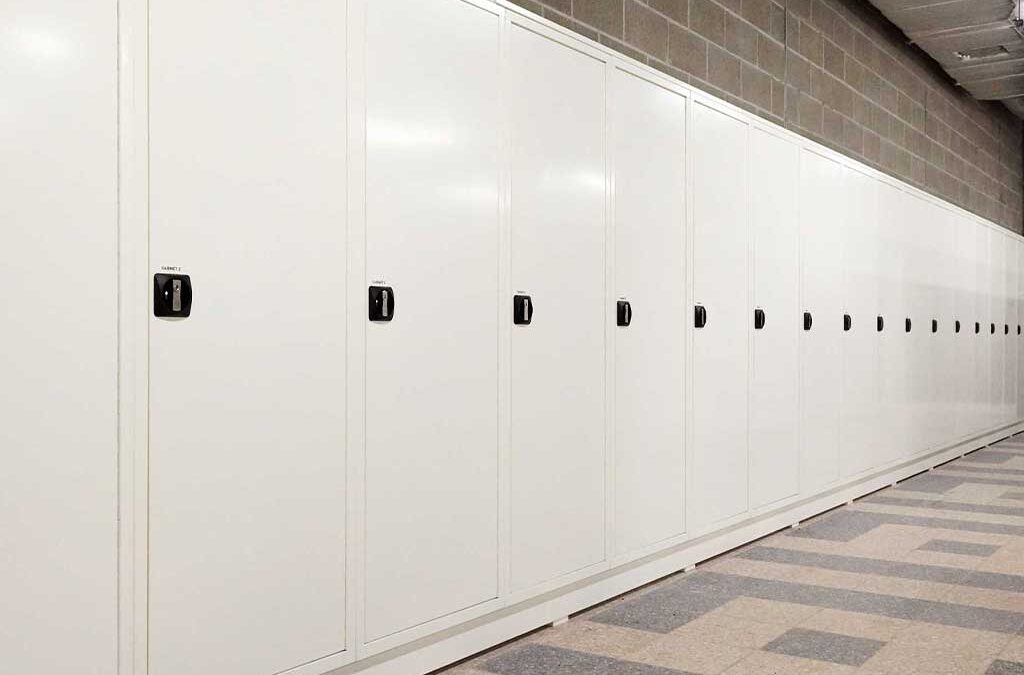 Designing Space‑Efficient, Secure Storage Solutions