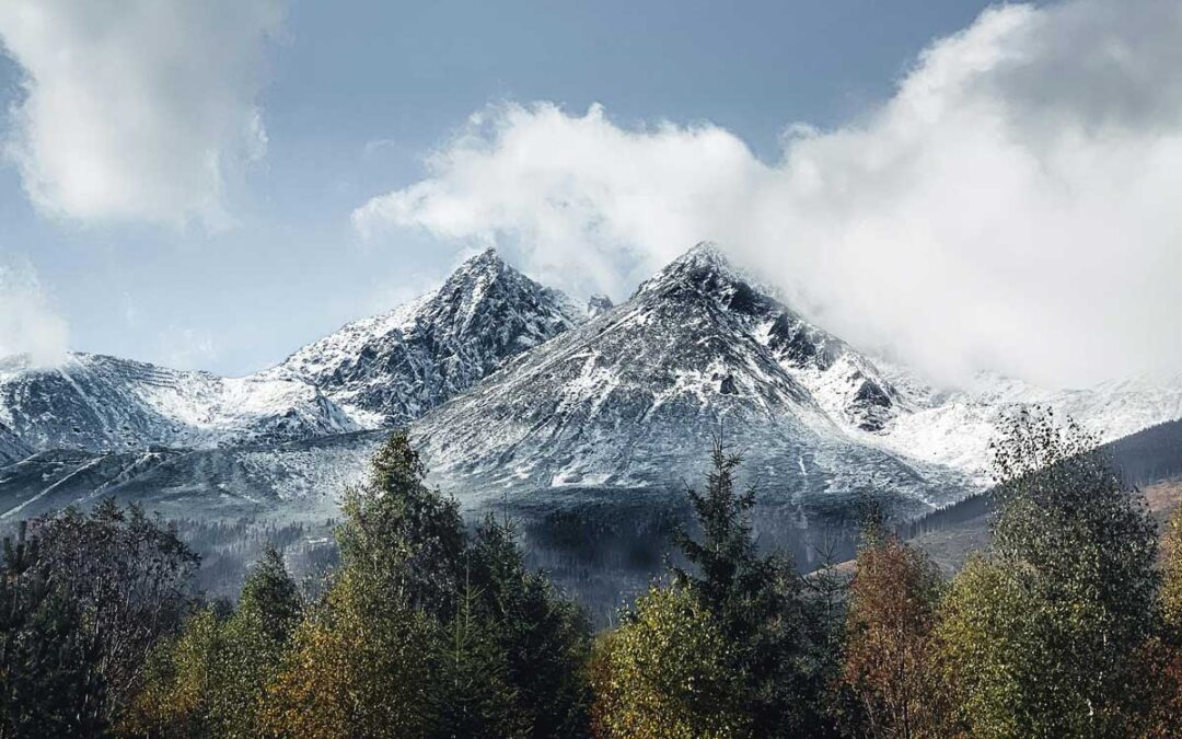 High Density Storage: Supporting Green Initiatives