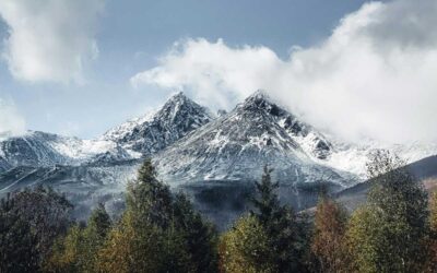 High Density Storage: Supporting Green Initiatives