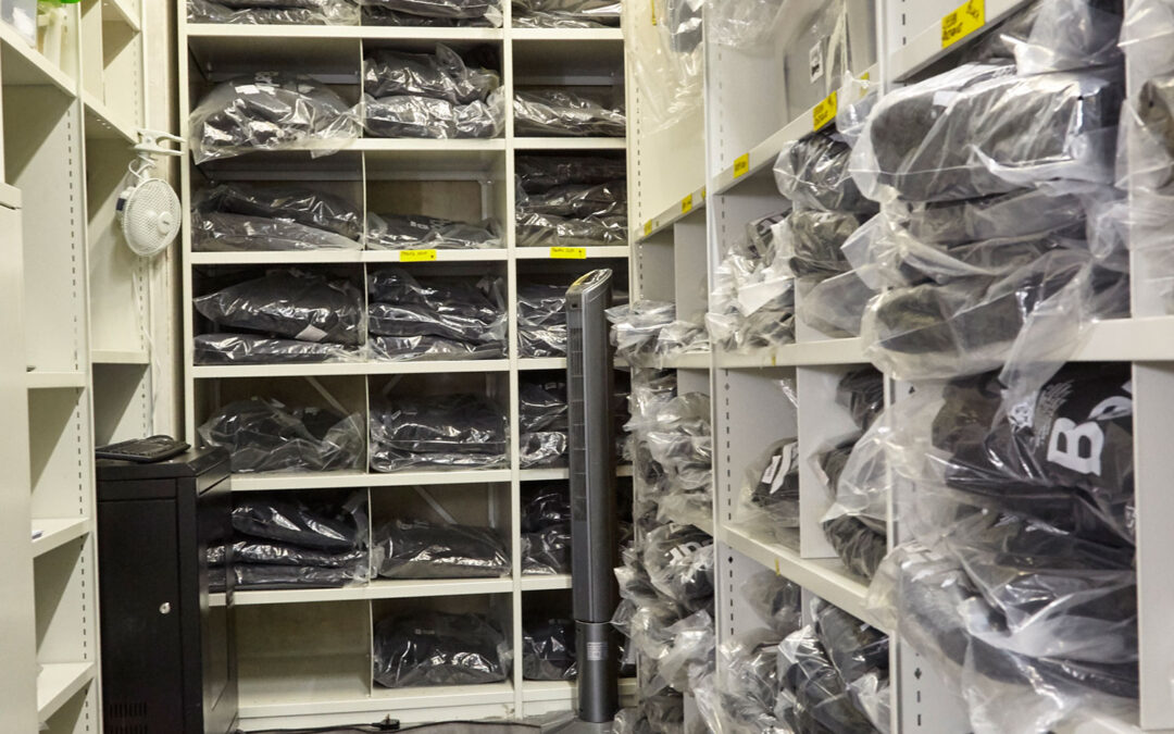 Future-Proofing: Flexible Storage Systems That Grow with You