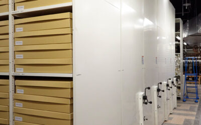 Space Efficient Storage in Museum Archives, Libraries and Heritage Collections