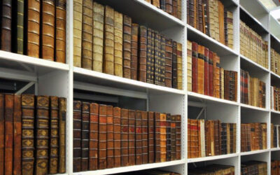 Archive Storage: Maximising Space and Protecting Collections