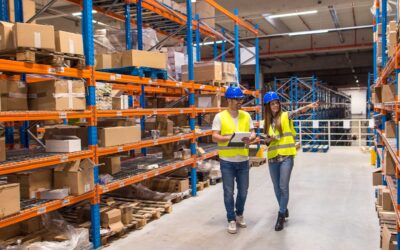 Storage Audit: What It Reveals About Your Workspace