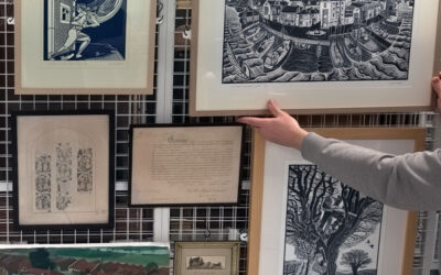 Museum Storage: Protecting Collections, Saving Space