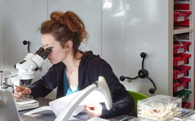 How Bespoke Storage Supports Scientific and Research Facilities