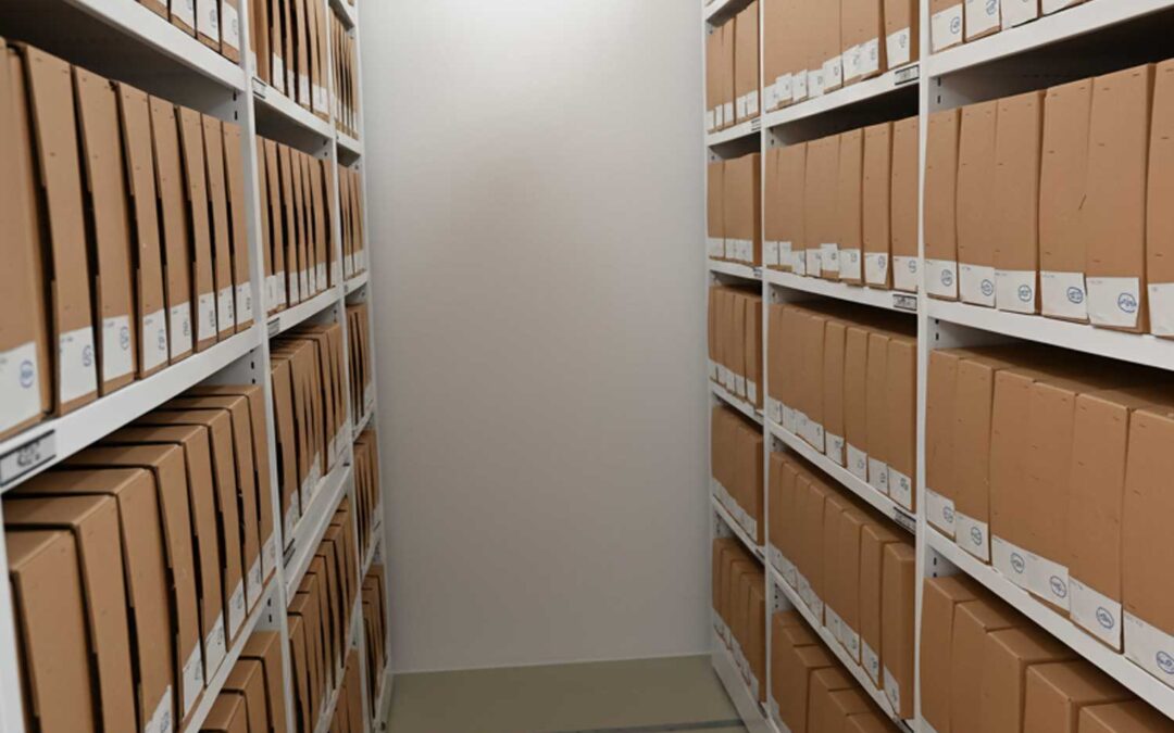 Archive Storage Planning For Organisations
