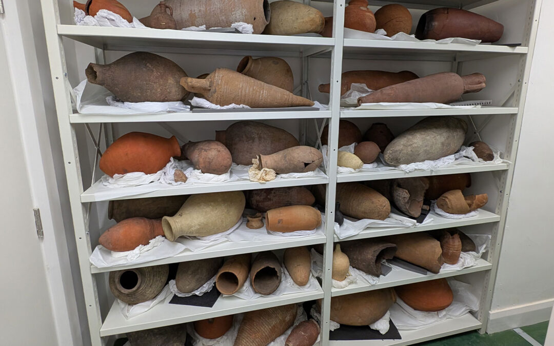 Modern Museum Storage Challenges
