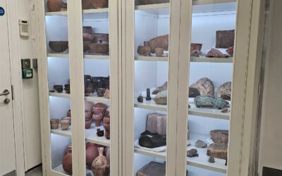Museums & Galleries What To Look For In Storage Systems