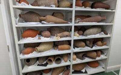 Modern Museum Storage Challenges