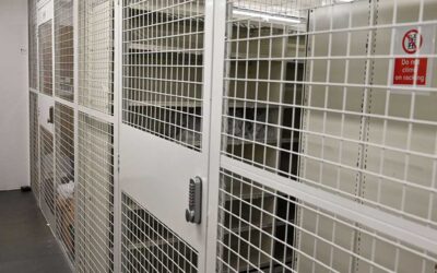 Security Cages: When Wire Mesh Beats a Locked Room